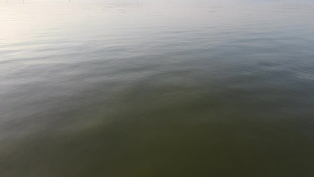 Aerial sunset view of cultivate fish on the lake such as cat fish is alternative to divers the food nutrition.