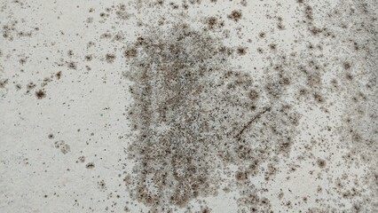 Textures 