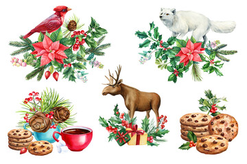 Fototapeta premium Bird, animal and sweet, holly branches, pine cone and star flower. drawn in watercolor postcard, poster
