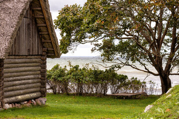 Obraz premium old wooden house on the seashore on the background of green trees