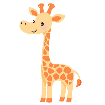Flat vector illustration. Safari animals. Cute giraffe on white background . Vector illustration