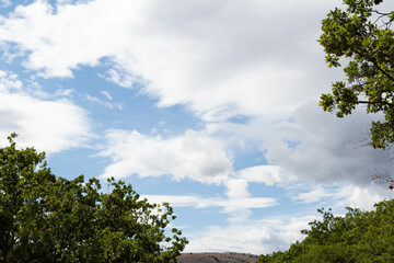Sky
