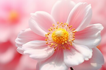 A close-up of a pink flower with a blurred background and a light pink background, featuring a white center and yellow stamen. Generative AI