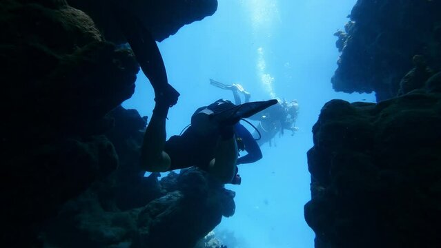 Divers swimming in underwater cave, back view tracking shot. Scuba diving in ocean, exploring marine wildlife and undersea cavern