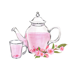 Hand-drawn watercolor illustration. Glass teapot and a cup with sakura tea and sakura branch near it