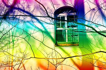 window of an old chapel with shadows of tree branches in rainbow colors
