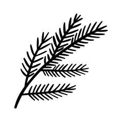 Hand drawn illustration. Green Christmas tree branch.