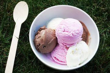 Ice cream balls in a white plate with a wooden spoon on a green lawn