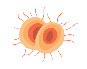 Vector isolated illustration of gonorrhea pathogen under a microscope. Gonorrhea bacteria. Сausative agent of gonorrhea.