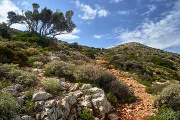 Hiker on the mountain trail on the Akrotiri Peninsula on the island of Crete