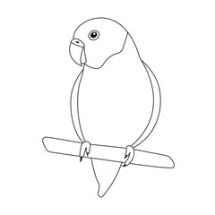 Doodle love bird sitting on a branch. Flat little exotic tropical parrot. Vector illustration on white background. Coloring picture. Good for T-shirts, posters, book covers, banners