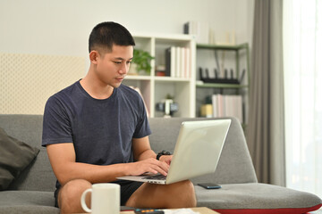 Handsome man freelancer in casual clothes using laptop on sofa at home