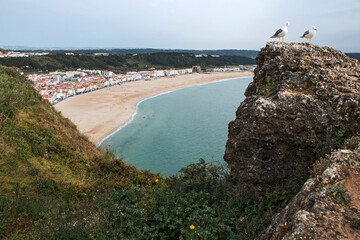 View of the Atlantic Ocean from cliffs in Nazaré, Portugal - 663768840