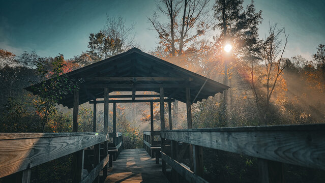Foggy Morning Foot Bridge
Paran Frost Trail North Bennington VT
October 2023