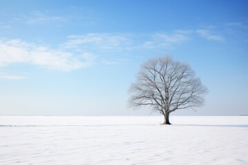 a single tree standing tall on a snowy plain