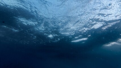 Sight from beneath the ocean floor as sunlight pierces through the water's surface. Watch as rising...