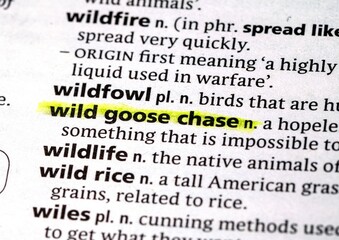 wild goose chase