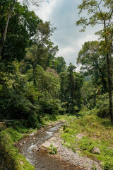 Fototapeta na wymiar River Meandering Through Lombok's Verdant Forest