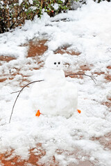 snowman at a greek forest - snowy day - winter park 
