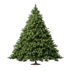 Christmas tree isolated on transparent background
