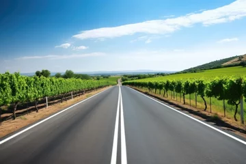 Foto op Plexiglas a road running parallel to a sprawling vineyard © Alfazet Chronicles
