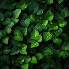 Deep fresh green leaves texture background