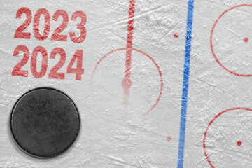Ice arena concept with markings and hockey puck