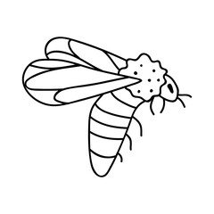 Single hand drawn bee. Doodle vector illustration. Isolated on a white background. Clip art