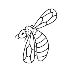 Single hand drawn bee. Doodle vector illustration. Isolated on a white background. Clip art