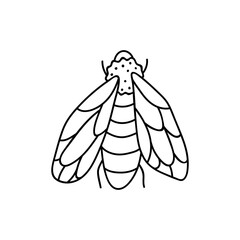 Single hand drawn bee. Doodle vector illustration. Isolated on a white background. Clip art