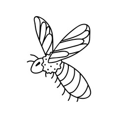 Single hand drawn bee. Doodle vector illustration. Isolated on a white background. Clip art