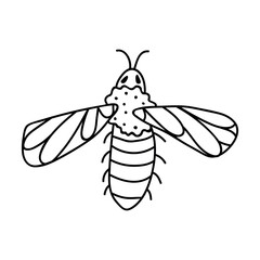Single hand drawn bee. Doodle vector illustration. Isolated on a white background. Clip art