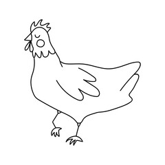 Single hand drawn chicken. Doodle vector illustration. Isolated on a white background. Clip art