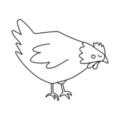 Single hand drawn chicken. Doodle vector illustration. Isolated on a white background. Clip art