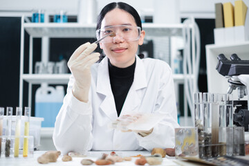 A female geologist or archaeologist is picking up an sample of rock or mineral in paleontology, archaeological and geological or mining laboratory. Concept of fossil research or soil experiment.