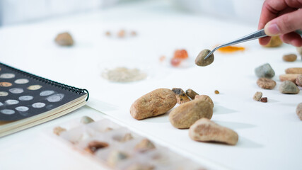 Close up of geologist or archaeologist is picking up an sample of rock or mineral in paleontology,...