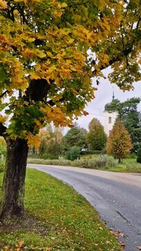 An ancient church with a cockerel against a background of trees in autumn. Yellow leaves lie on the grass and asphalt road. Cloudy day in Riga.