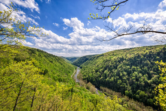 Picturesque view of green forest with river and mountains on sunny day