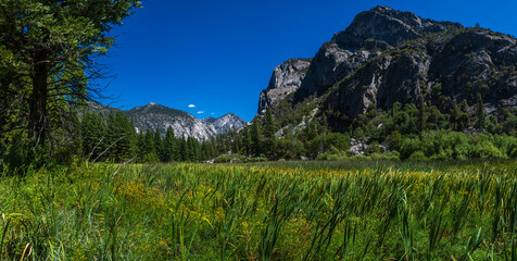 The Zumwalt Meadows area in the heart of the Kings Canyon national park. - obrazy, fototapety, plakaty