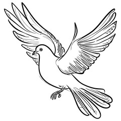 Dove flying in the sky