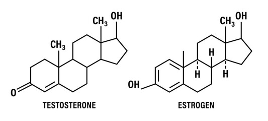 Structural chemical formulas of testosterone molecule. Molecular chemical formula of sex hormone. Male and female sex hormone. Vector illustration - obrazy, fototapety, plakaty