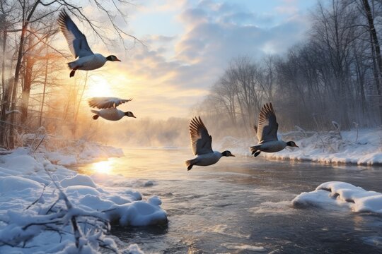 Snowy winter landscape with frozen river and flying geese at sunset, Flock of wild ducks flying over frozen river. Wildlife in winter season, AI Generated