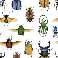 Watercolor beetles seamless pattern on transparent background. Hand-drawn insects backdrop for fabric, packaging, wrapping paper, decor