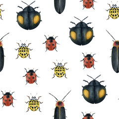 Watercolor ladybird beetles seamless pattern on transparent background. Hand-drawn insects backdrop for fabric, packaging, wrapping paper, decor