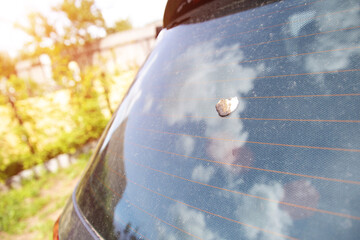 Bird droppings on car glass, damage from droppings to a car. Copy space for text