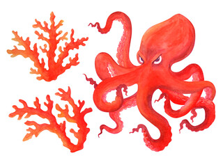 A red angry cartoon octopus looks from under its brows at the viewer. To the left of it are two corals corals Isolated watercolor illustration. Clipart
