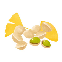 ぎんなんのイラスト