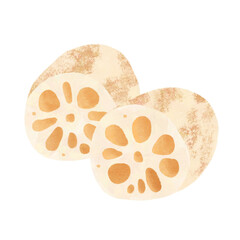 レンコンのイラスト