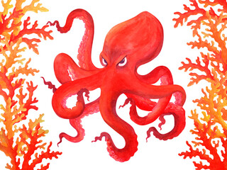 A red angry cartoon octopus between the corals looks from under its brows at the viewer. Isolated watercolor illustration on a white background. Clipart