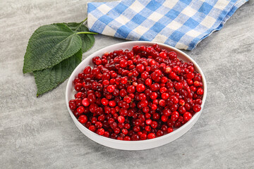 Ripe sweet wild organic cowberry
